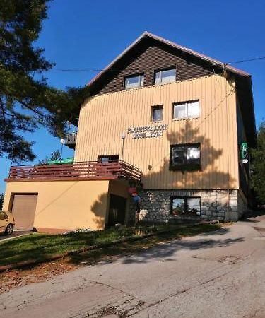 Planinski Dom Gore Aparthotel Dol pri Hrastniku Buitenkant foto
